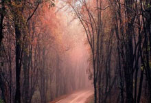 足球赛场强队碾压弱队，焦点战报引发关注