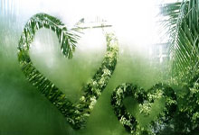 足球赛场强队碾压弱队，焦点战报引发关注