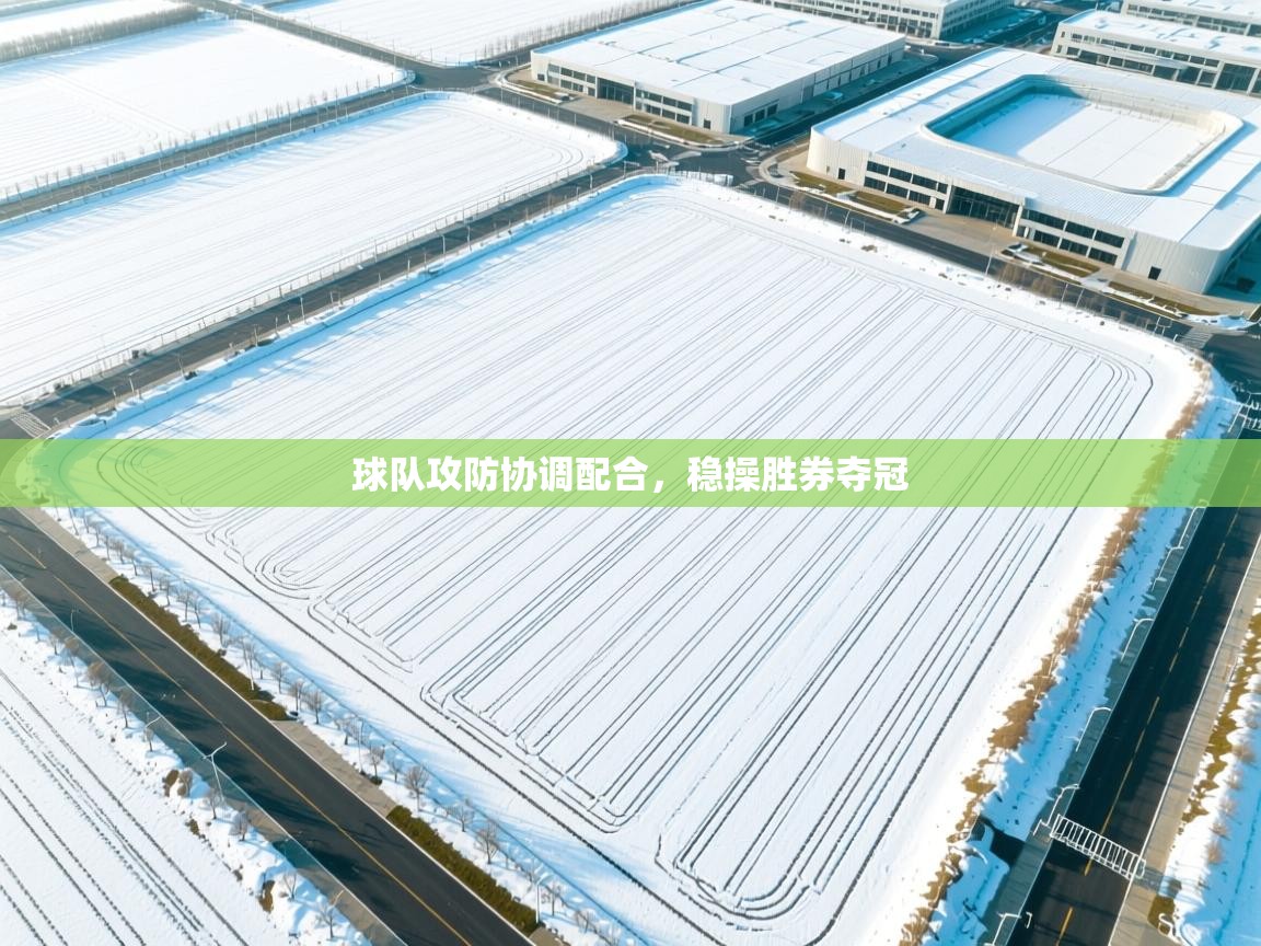 球队攻防协调配合，稳操胜券夺冠